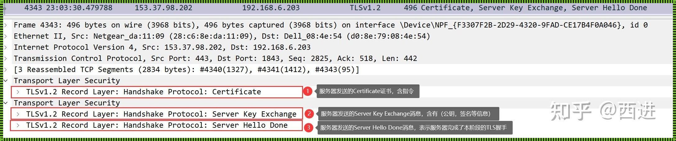 Wireshark过滤HTTPS关键字的艺术