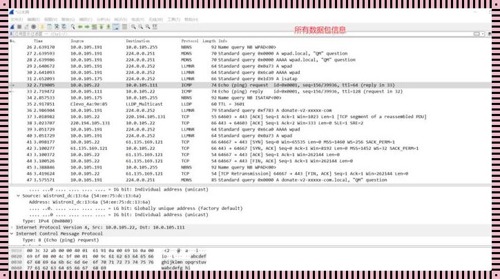 深入剖析Wireshark抓包分析网络故障的精妙之处
