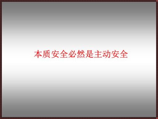 本质化安全原则：一种全新的安全理念