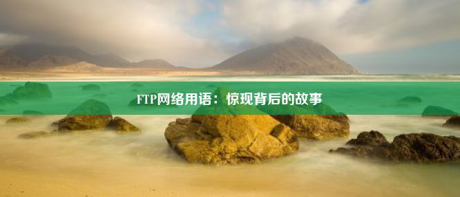 FTP网络用语：惊现背后的故事