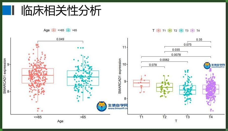 在相关性分析中，p值的意义究竟有多惊人？