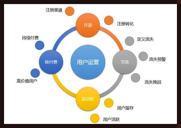 《运营高手必备技能大揭秘》