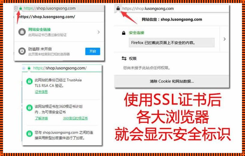 HTTPS安全证书：保护网络安全的“隐形斗篷”