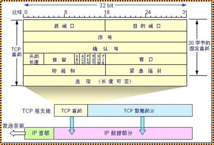 igmp协议属于哪一层