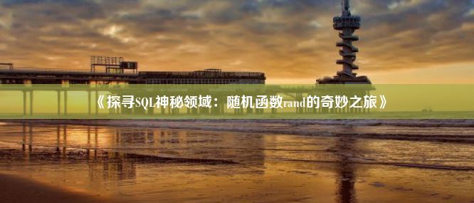 《探寻SQL神秘领域：随机函数rand的奇妙之旅》