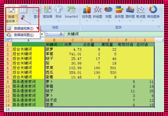 《获奖之路：用Excel征服SEM，展现智慧光芒》