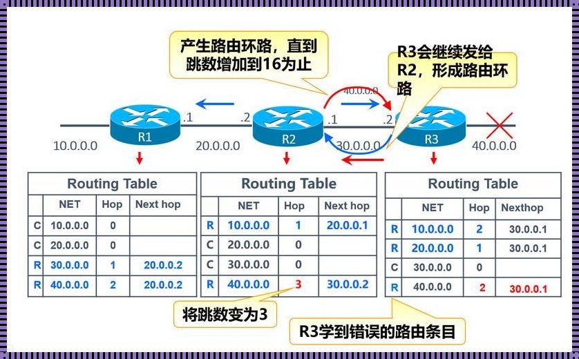 动态路由协议分类大揭秘：我的慷慨幽默之旅