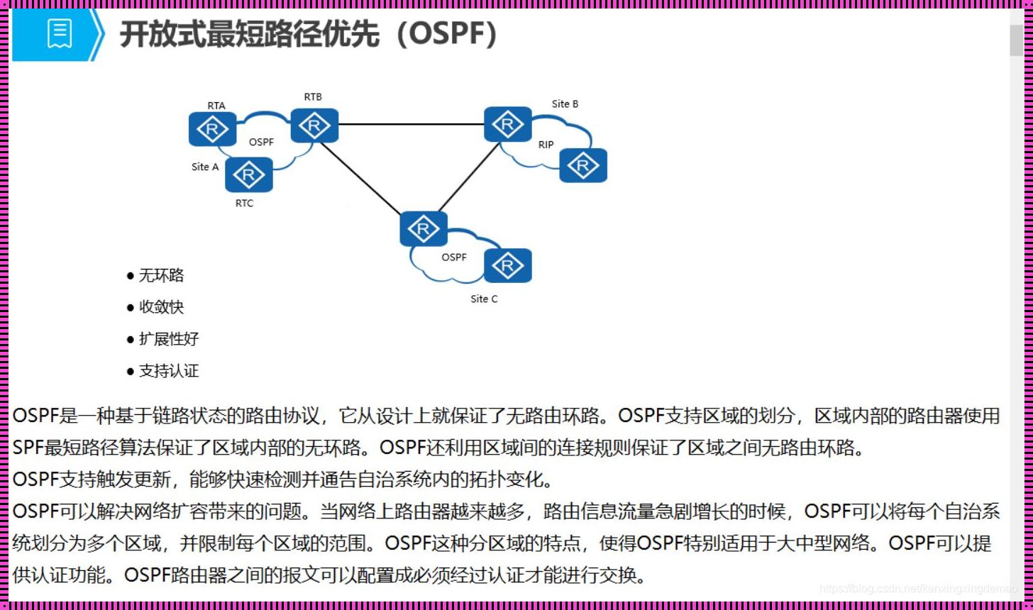 链路状态路由选择协议的“大杂烩”