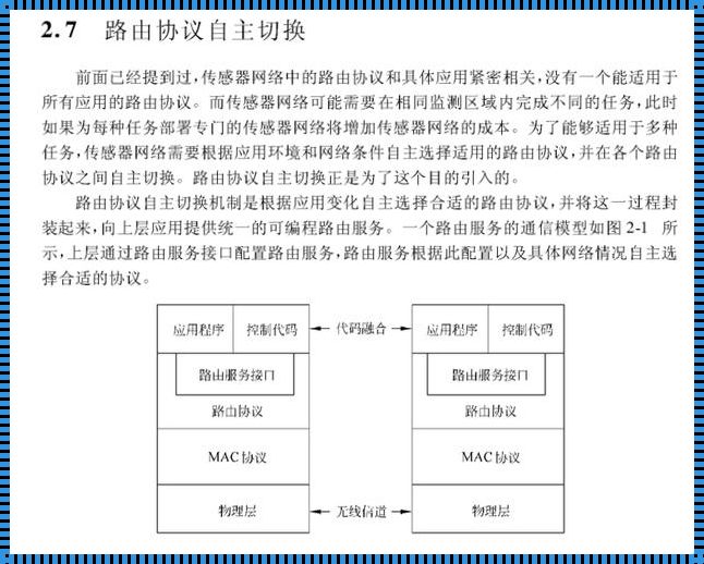 神秘的有类路由协议，惊现于智慧之海