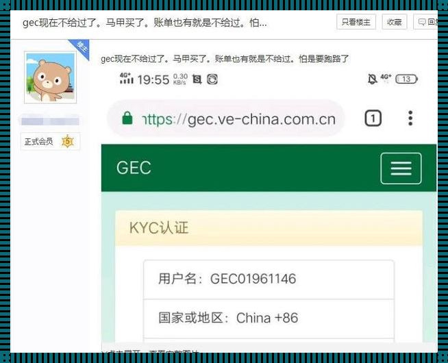 GEC中国区登录网址一个星