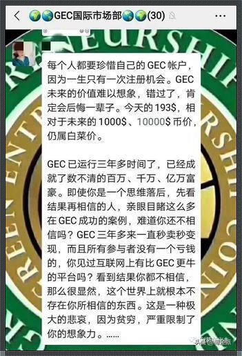 2023年GEC价格“惊现”风波，市场波动引热议