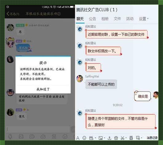 揭秘100%封QQ群代码：全力探索网络安全新境界