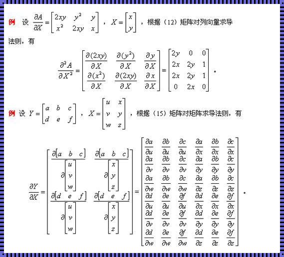 深入探讨矩阵求导法则：数学世界的瑰宝