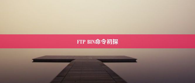 FTP BIN命令初探