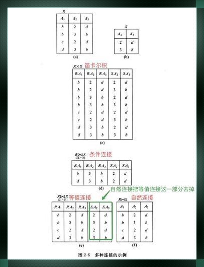 自然连接运算的奥秘：探寻大脑中的惊奇之旅