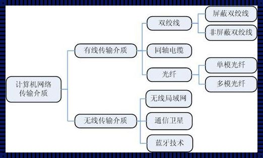 常用的网络介质有哪些——分析与探讨