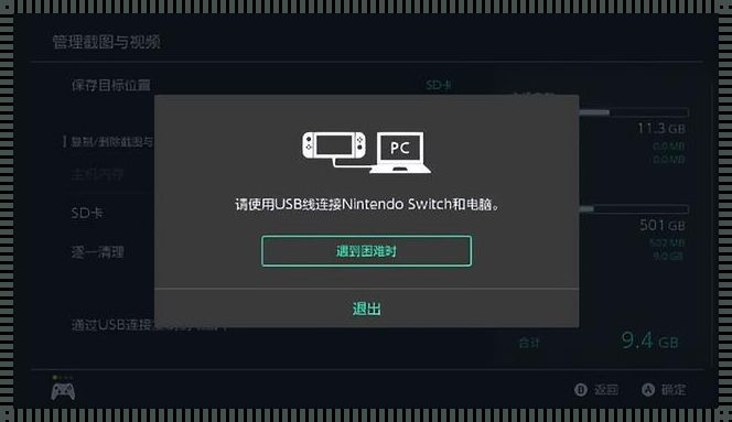 ns游戏无法启动软件：问题的解剖与反思