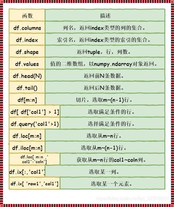 Python中type函数的用法探究