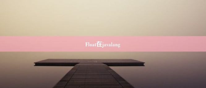 Float在javalang