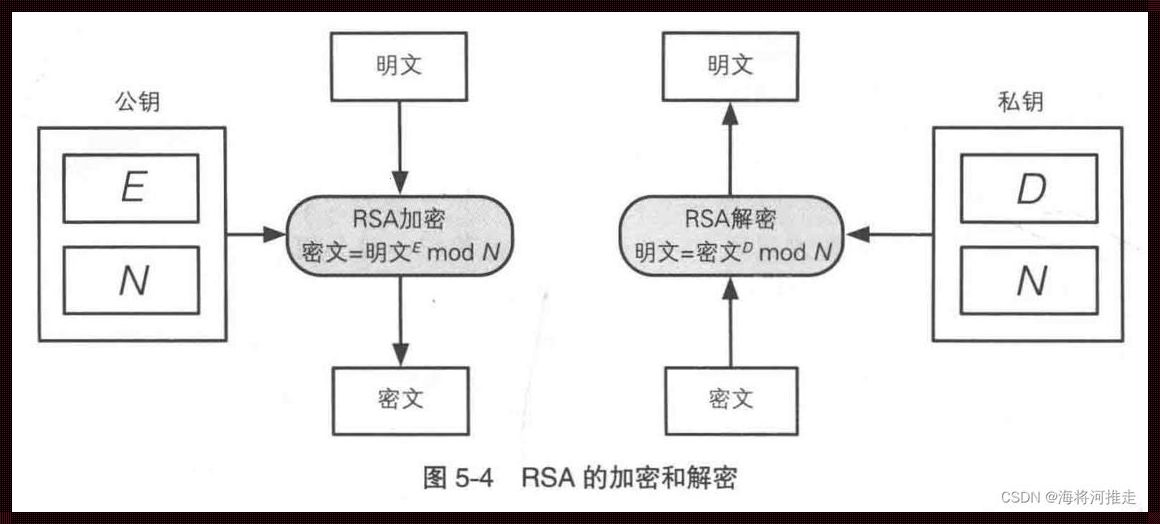 深入探讨RSA加密技术及其在现代信息安全的应用