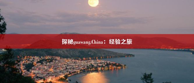 探秘guawang.China：经验之旅