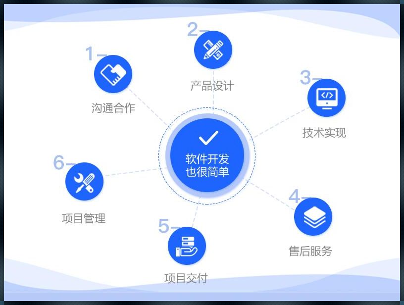 软件系统开发定制的忧思与启示