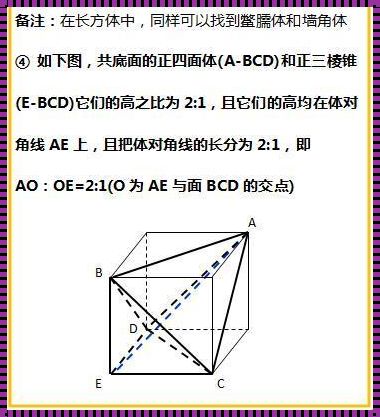 正四面体的二级结论及其影响——深入探讨与实证分析