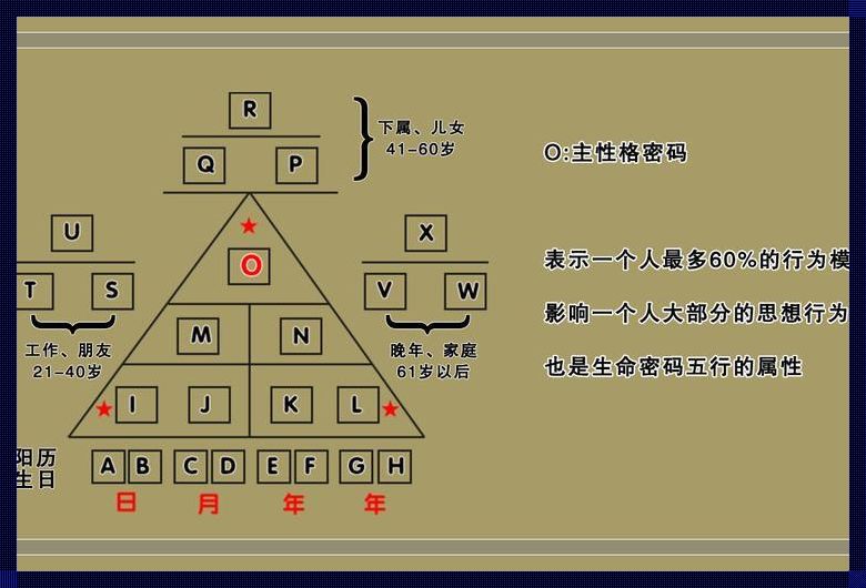 《探寻生命密码数字组合的奥秘：解析冲突背后的故事》