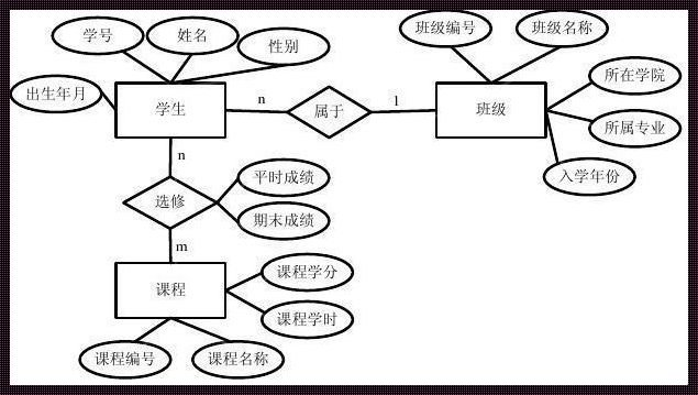 《数据库大作业学生信息管理系统的惊鸿一瞥》