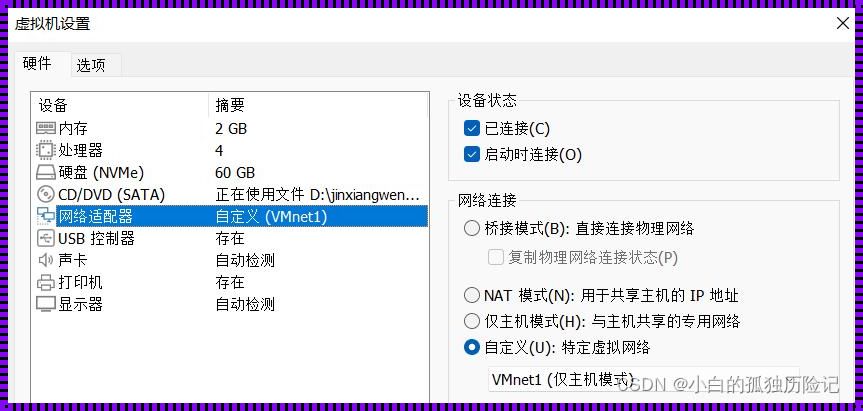 windows指定网卡ping