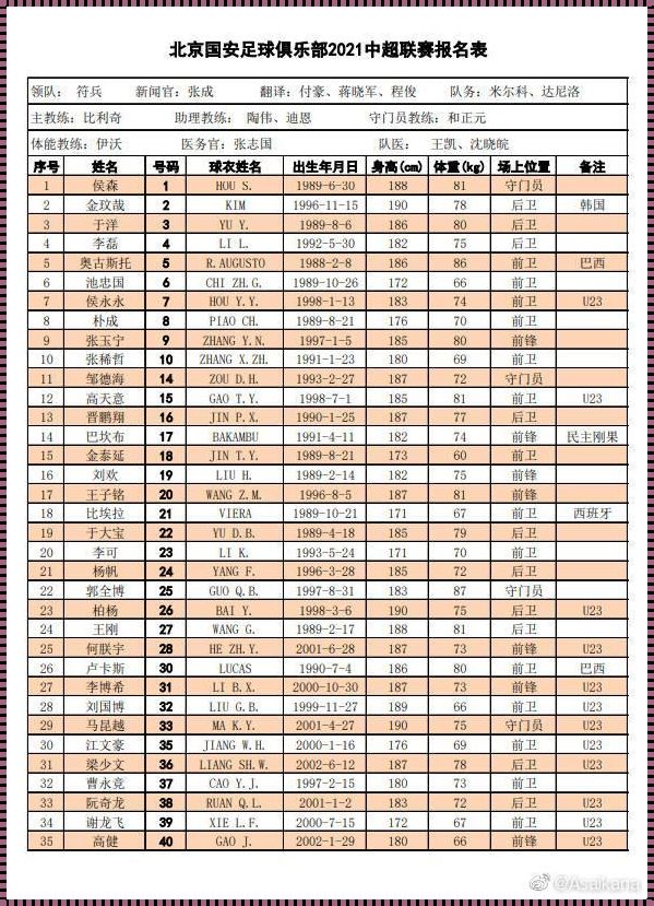 《中超16强全阵容大揭秘》