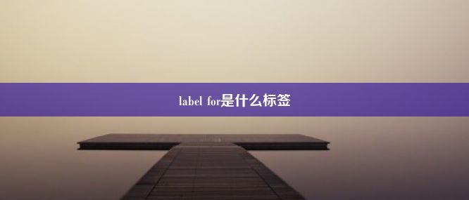 label for是什么标签