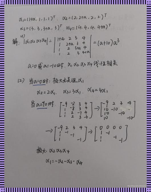 手写特征向量的妙招探究