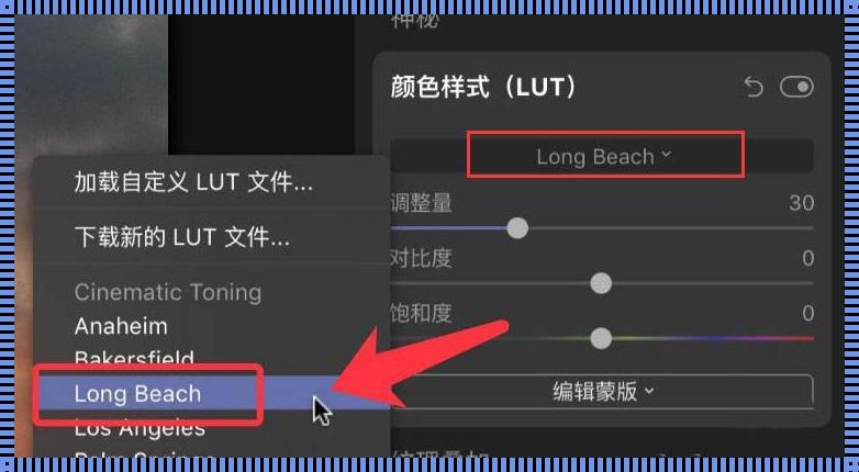 Lightroom导入LUT：让摄影作品绽放独特魅力