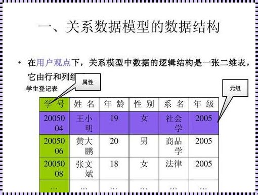 “‘数’说生活，‘模’拟未来：数据统计模型在培训中的应用”