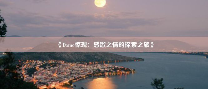 《Damo惊现：感激之情的探索之旅》