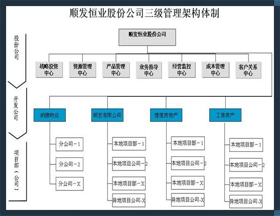 三级架构二级管理：深度分析与书卷气的渴望