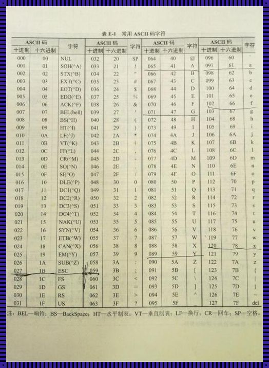 ASCII码的编码规则：探索字符背后的秘密