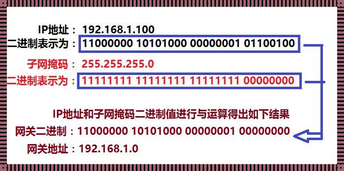 《舞动子网，揭秘二进制的隐秘世界》