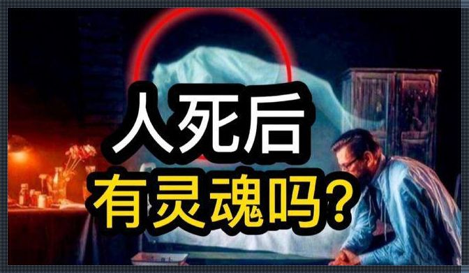 灵魂的存在已被证实——一个悲伤且冷漠的故事