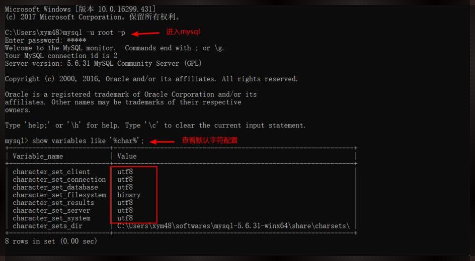 MySQL配置之后的使用方法