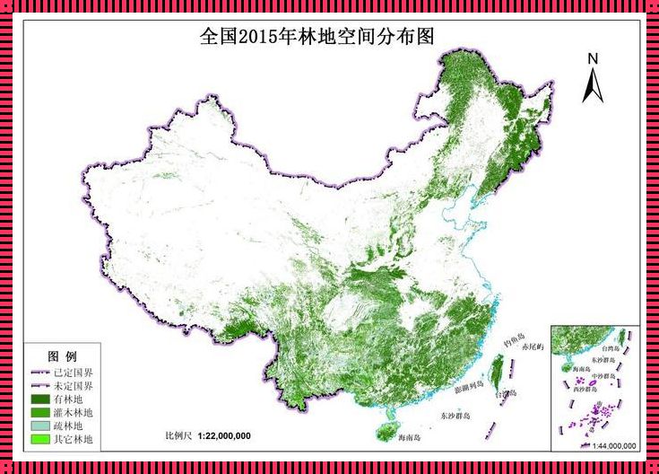 林地矢量数据：揭秘其含义