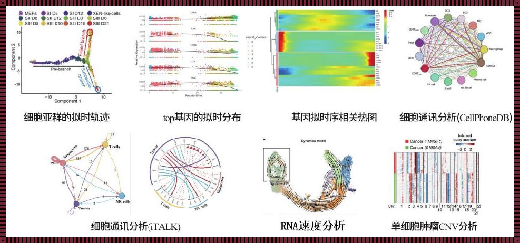 探索宇宙中的生命之舞：空间转录组测序原理