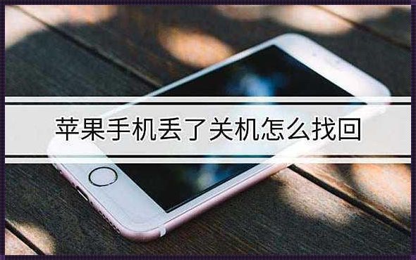 面对苹果被偷已关机，我们该如何应对？