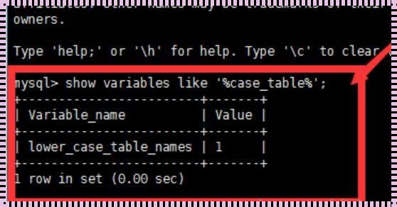 MySQL大小写之谜：你真的了解吗？