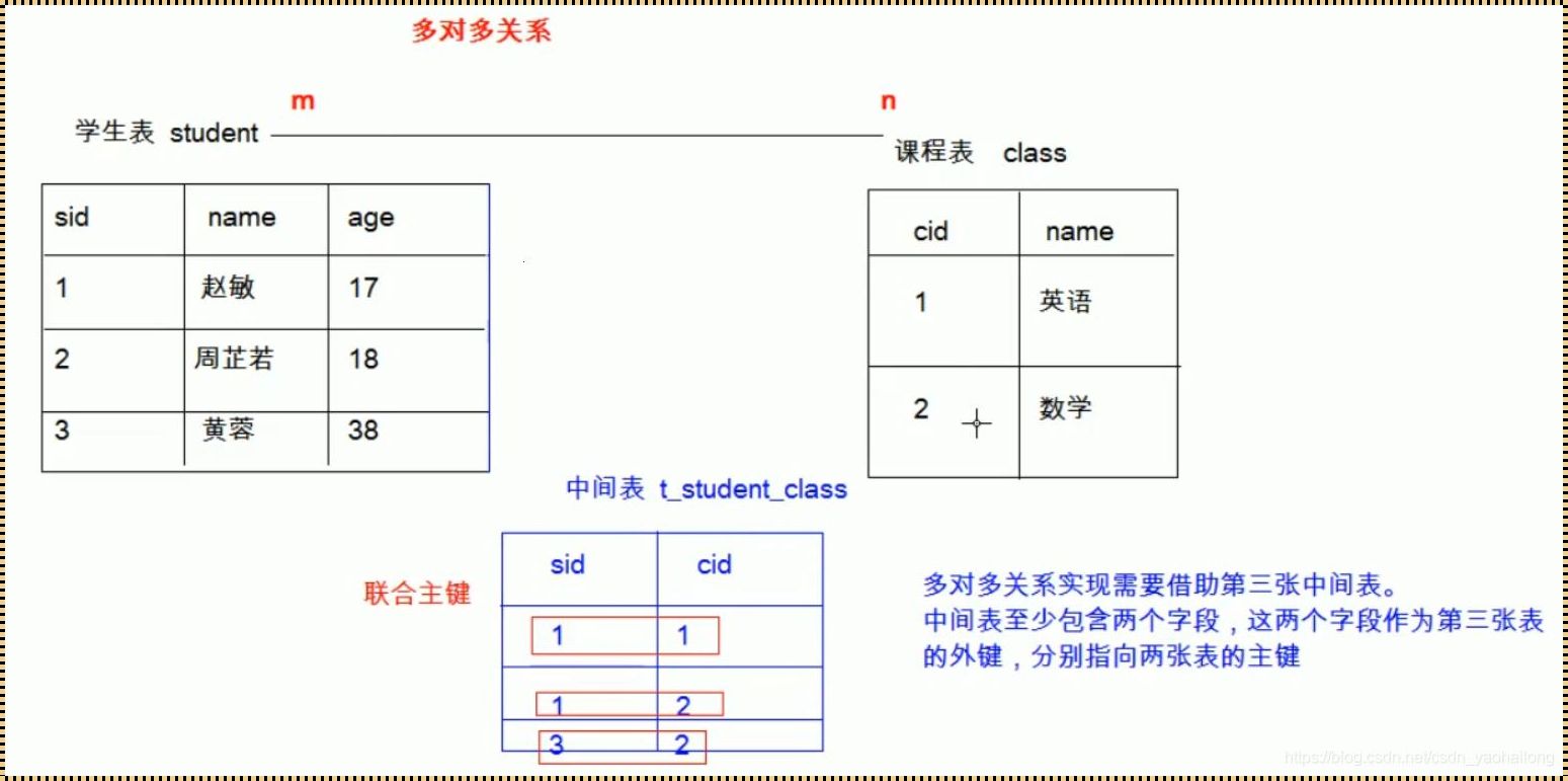 探寻数据库主键与外键之间的神秘关联