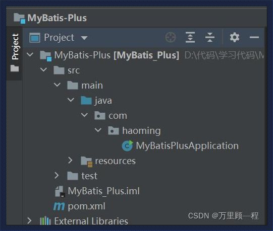 MyBatisPlus：现代Java开发的利器