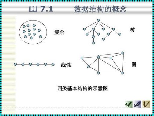 探索四类基本数据结构的奥秘