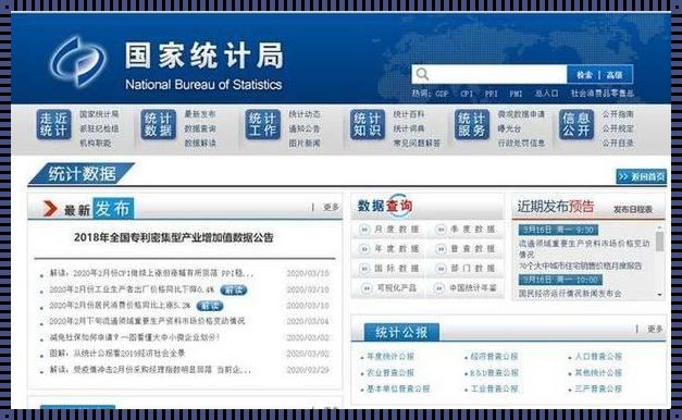 《国家统计局查什么？——揭秘数据的幕后英雄》