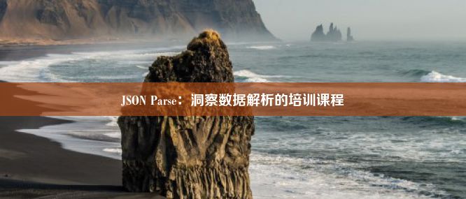 JSON Parse：洞察数据解析的培训课程